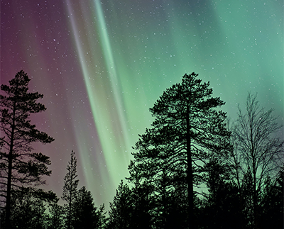 Welcome to Studymelon